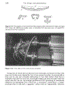 Extruding Plastics A Practical Processing Handbook