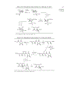 Advanced Organic Chemistry Part B Reaction and Synthesis