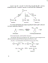 Hóa học hữu cơ 3