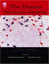 The Human Nervous System Second Edition