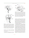 The Human Nervous System Second Edition