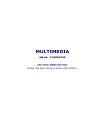 Multimedia