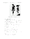 Digital Signal and Image Processing Using MATLAB