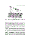 Digital Satellite Communications