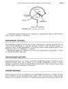 Facility Piping Systems Handbook