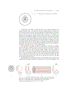 Fundamentals of Materials Science and Engineering