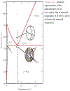 Fundamentals of Materials Science and Engineering