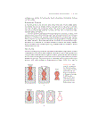 Fundamentals of Materials Science and Engineering