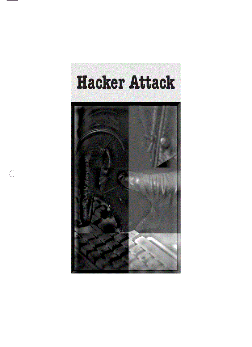 Hacker Attack