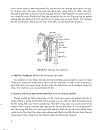 Sinh lý học tập 2