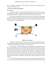 Tổng Quan Về Viễn Thông