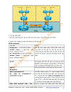 VnExperts MPLS Lab Guide Version 1 0