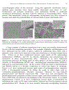 Chemistry of Nanoatructured Materials