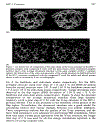 Free Energy Calculations in Rational Drug Design