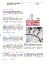 Foundations in Microbiology