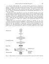 Nanomaterials and Nanosystems for Biomedical Applications