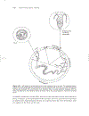 Wastewater Pathogens Wastewater Microbiology