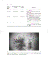 Wastewater Pathogens Wastewater Microbiology