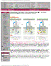 Molecular Biology of the Cell