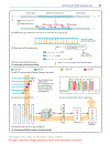 Color Atlas of Genetics Thieme Flexibook 2nd Edition