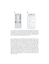 Genomics Protocols Methods in Molecular Biology