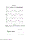 Biosignal and Medical Image Processing