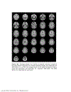 Biosignal and Medical Image Processing