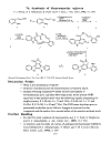 Exercises in Synthetic Organic Chemistry