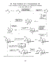 Exercises in Synthetic Organic Chemistry