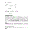 Solvent free Organic Synthesis 1st Edition