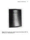 Electrodeposition The Materials Science of Coatings and Substrates