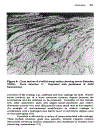 Electrodeposition The Materials Science of Coatings and Substrates