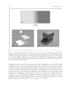 Evolutionary Developmental Biology of the Cerebral Cortex