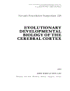 Evolutionary Developmental Biology of the Cerebral Cortex