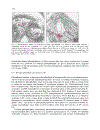 Biochemistry of Lipids Lipoproteins and Membranes 4th Edition Volume 36