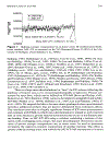 Inorganic Mass Spectrometry Fundamentals and Applications