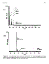 Inorganic Mass Spectrometry Fundamentals and Applications