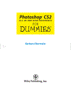 Photoshop CS2 All in One Desk Reference For Dummies