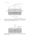 The Microbiology of Anaerobic Digesters