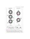 Molecular Fluorescence Principles and Applications