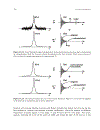 Fourier Transforms in Spectroscopy