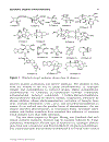 Synthetic Organic Photochemistry