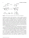 Synthetic Organic Photochemistry