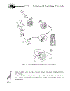 Biology Demystified A Sefl Teaching Guide