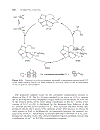 Homogeneous Catalysis Mechanisms and Industrial Applications