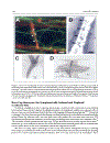 Cell Cell Channels Molecular Biology Intelligence Unit