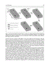 Cell Cell Channels Molecular Biology Intelligence Unit