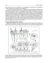 Cell Cell Channels Molecular Biology Intelligence Unit