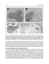 Cell Cell Channels Molecular Biology Intelligence Unit