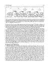 Cell Cell Channels Molecular Biology Intelligence Unit